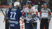 HOKEJ PLZEN22